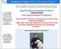 Secrets to Dog Training