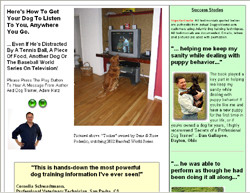 Secrets Of A Professional Dog Trainer!