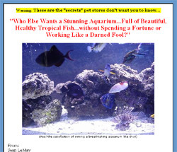 Tropical Fish Secrets