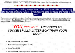 How To Litter Box Train Your Dog