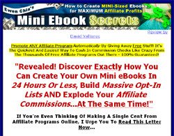 Mini Ebook Secrets