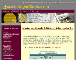 Mastering Google AdWords