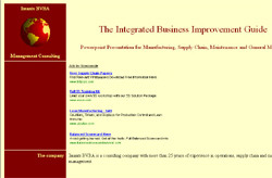Integrated Business Improvement Guide
