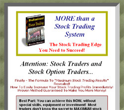 Professional Power Trading
