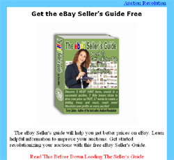 The eBay Seller's guide