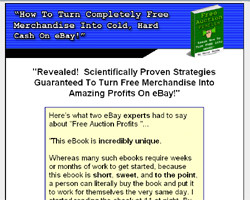 Free Auction Profits - How To Turn FREE Into Money!