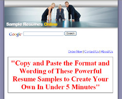 Resume and Cover Letters