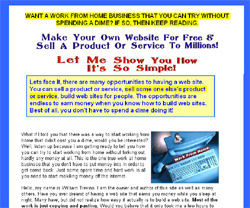 Want An E-Commerce Website? Click Here