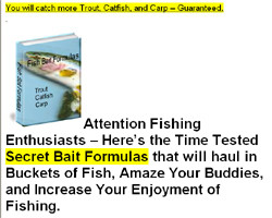 Secret Fish Bait Formulas Revealed