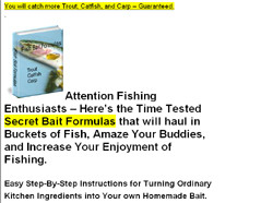 Fish Bait Formulas
